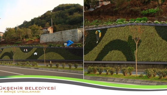 Ordu Büyükşehir Belediyesi